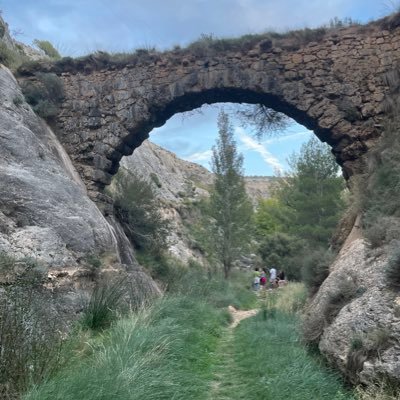 BelGrac's profile picture. Ingeniera de Montes. Master Fuego 1.0.