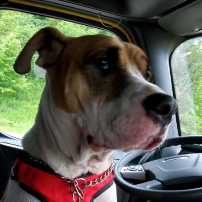 jroyale34's profile picture. 