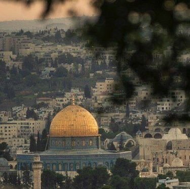 فلسطيني ، الروح ، الهوى ، والهوية 🇵🇸🕊️💚