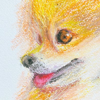 サニ吉だったものさんのプロフィール画像