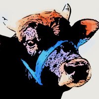 Bull Ferdinand(@nandtoken) 's Twitter Profile Photo