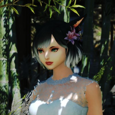 Hewwo!
Hyur, sometimes Miqo and rarely a Lalafell
Do you want be my friend?
💍 @rei_lori 💗