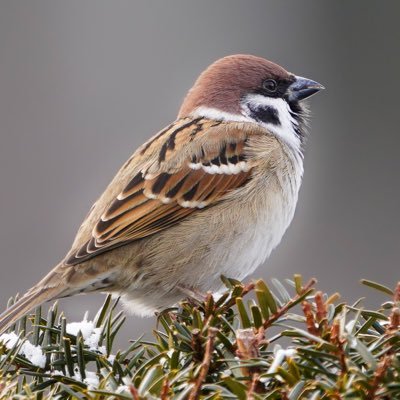 学生とオタクの狭間で生きてたり死んでたりする。🎇🧵🦋❄️🐇 DJ練習中ですﾀﾉｼｰ