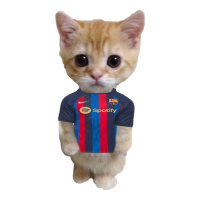 クレだよしんちゃん💙❤️さんのプロフィール画像