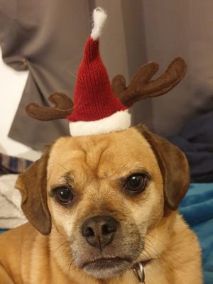 Isaac__135's profile picture. 23, he/him

https://t.co/BBBkAQdjNt