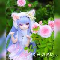 ooisiakura_69's profile picture. 02' aichi 
ｱﾊﾟﾚﾙ
passione___vintage