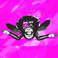 MonkeyBee Festival(@MonkeyBeeFest) 's Twitter Profileg