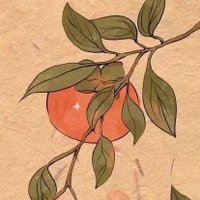 Tomato (@tomato5356) 's Twitter Profile
