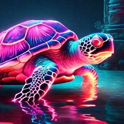 Neonturtlecards Profile Picture