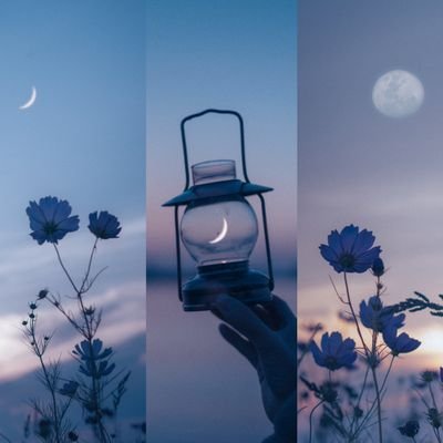 Patricia1212C's profile picture. 🌟