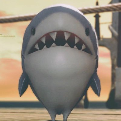 supersharkstudy Profile Picture