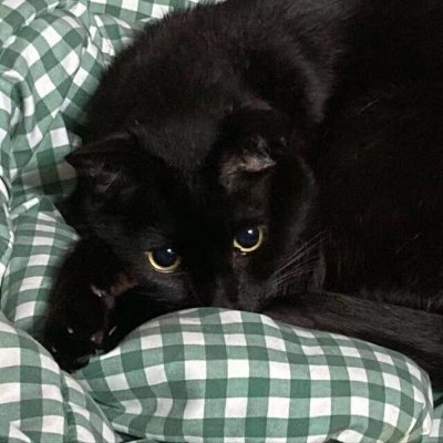 Yuriwith0811's profile picture. 🇨🇳18+ 無言フォロー失礼します 低浮上(?) / 谷山紀章 GRANRODEO / X JAPAN TAIJI hide / 変な日本語を喋る 日本語食べません / English ok