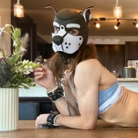 ✨ Shiloh ✨ (@ohwuff) 's Twitter Profile Photo ✨ Shiloh ✨ (@ohwuff) 's Twitter Profile Photo