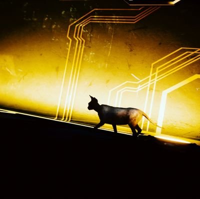 In-game Photography ゲームをして写真を撮るよ。PC/PS5。Assassin's Creed/Cyberpunk2077 他。画像の改変・転載は固くお断りいたします。