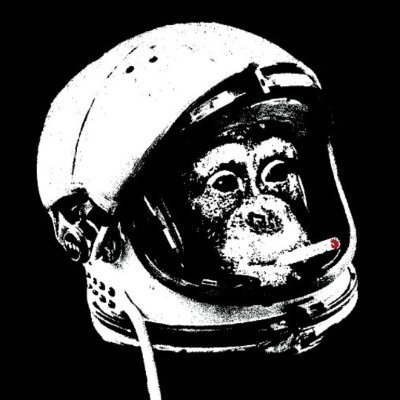 spaced_munkey Profile