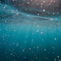 Microplastic Index (@mnp_index) 's Twitter Profile Photo Microplastic Index (@mnp_index) 's Twitter Profile Photo