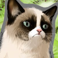 timdaub.eth (@timdaub) 's Twitter Profile