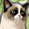 timdaub's profile picture. Founder of @kiwinewshq, europoooooor
