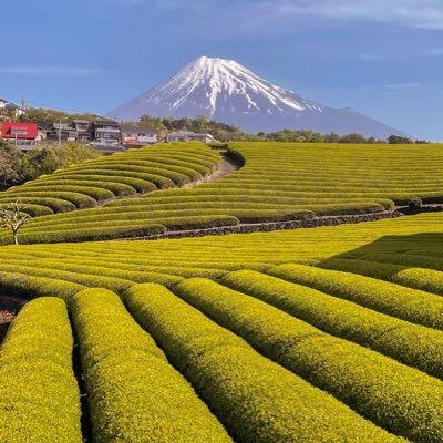 ali13_13__'s profile picture. 