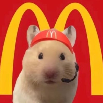 csy0729520's profile picture. 🏀