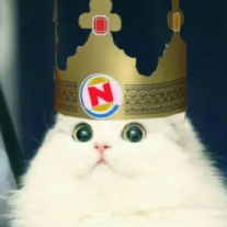 This cat says the words which shall not be spoken.