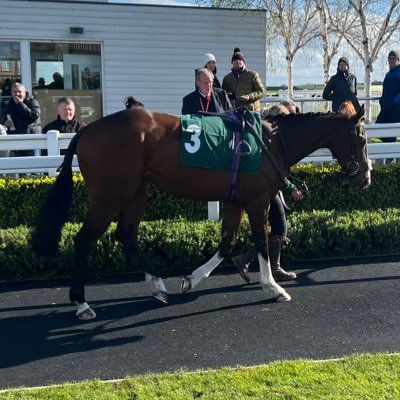 I do a few bits! Bloodstock Advisor/Agent, Form Analyst, Race Planner, Jockey’s Agent & Racing Manager 🐎🐎 Email: Adamb00004@gmail.com for queries 📞📧