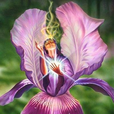 LuciliaPin64962's profile picture. 