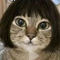 .... (@clientpii) 's Twitter Profile