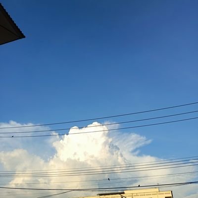 i___044's profile picture. 