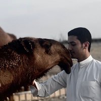 احمد تركي النويهض (@alnuwaiheda7) 's Twitter Profile Photo