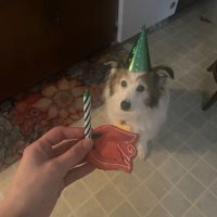 GrimAbsol (@grimabsol) 's Twitter Profile