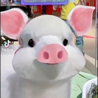 japapeejinpai's profile picture. 