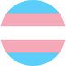 Transgender FAQs! (@TransgenderFAQs) Twitter profile photo