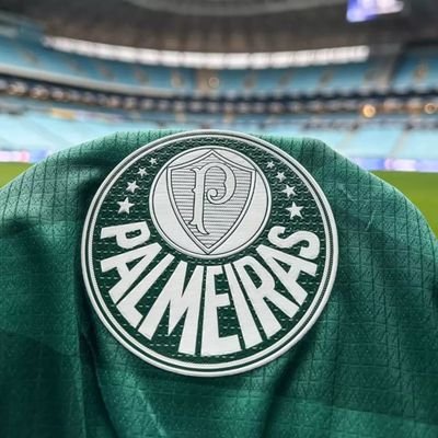 Esposa, mãe, ama futebol, amo meu @Palmeiras 💚