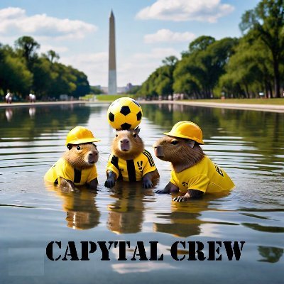 CapytalCrew Profile Picture