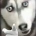 เพ้ดเห้นเพ้ดแทงนะคะ (@dyuysnnlq1du) Twitter profile photo เพ้ดเห้นเพ้ดแทงนะคะ (@dyuysnnlq1du) Twitter profile photo