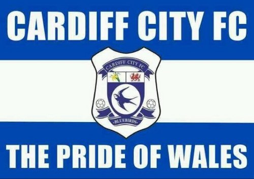 Train Driver, @Aslef union rep, @MaindyCorriesfc mini/junior football coach & chair. ❤️@ccfc & @fawales. Proud dad of 3 boys & happily married (most of time!)