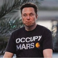 Elon reeve musk (@emusk14241) 's Twitter Profile