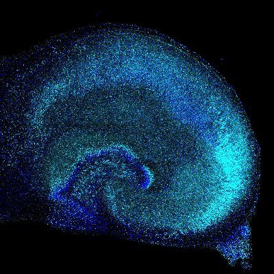 Laboratory of Molecular Basis of Neurodegeneration, MMRI PAS ||| We want to understand why some cells die, and others survive in individual brain disorders.