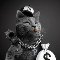 PUSSY AI (@pussyonnear) 's Twitter Profile