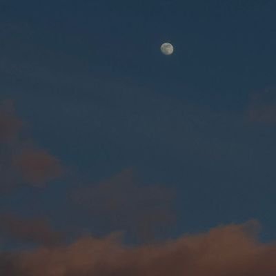 KimTH_yt's profile picture. 🩵🩷💜💚