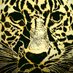 Gazza (@enel2000tambien) Twitter profile photo Gazza (@enel2000tambien) Twitter profile photo