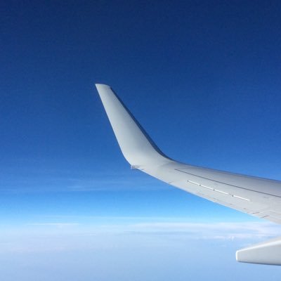 LlyLly333's profile picture. 