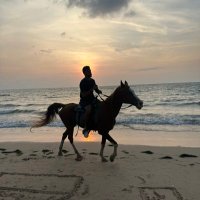 ABDULRAHMAN Èb (@dhmy43) 's Twitter Profile