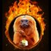 lokjaw f ing white male (@lokjaw45) Twitter profile photo lokjaw f ing white male (@lokjaw45) Twitter profile photo