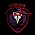 Crows VPC (@crowsvpc) Twitter profile photo Crows VPC (@crowsvpc) Twitter profile photo