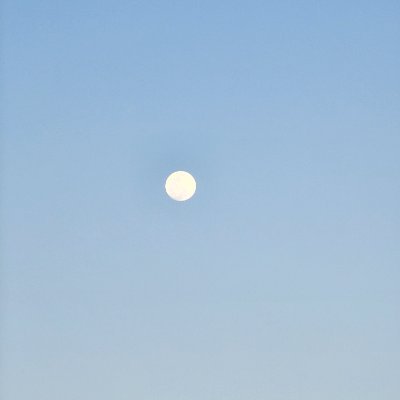 tehkkey's profile picture. You can't stop the waves, but you can learn to surf. 
Here to scrape Tech knowledge.