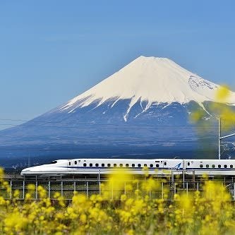 多趣味 車 ドライブ 鉄道 御朱印 ファション グルメ 旅行
#NMB48 #山本彩 #矢倉楓子 好き！ゆる～く推し活