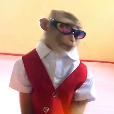 cummedupcalvins's profile picture. it's unnecessary. there's no reason for this.
Stella Donnelly i am single.
every moment i live is in agony. 😔. girl kisser. 

fka @twenybans