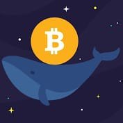 Whale__BTC Profile Picture